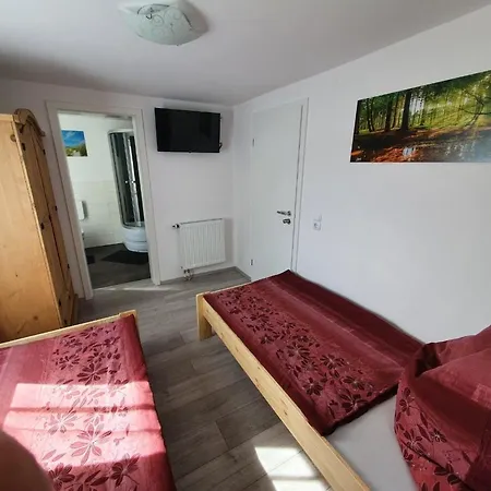 Muhlgasse 10 1 - A52706 Apartment Mylau